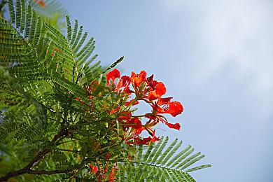 英国新一周实体游戏销量榜 《真人快打1》第二